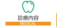 診療内容